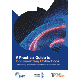 A Practical Guide to Documentary Collections: Understanding Documentary ...